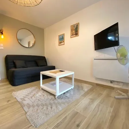 Renove Avec Terrasse 100m 50m Port * Mauguio